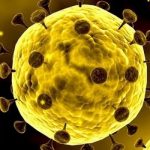 Ilustrasi-Virus-Corona-new-600x400-1