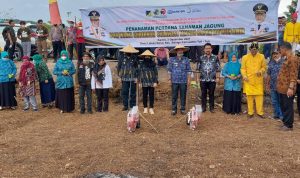 58814d96-5223-471c-af2d-8d9faaf64563