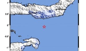 WhatsApp Image 2022-04-09 at 13.51.24