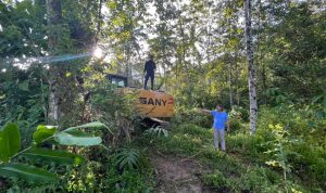 WhatsApp Image 2022-07-11 at 13.11.42 (1)