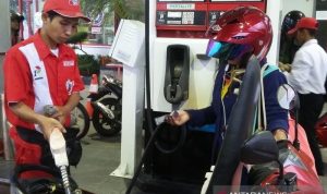 BBM_800-t-533_1_resize_91