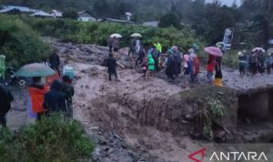 IMG-20221011-WA0116_1