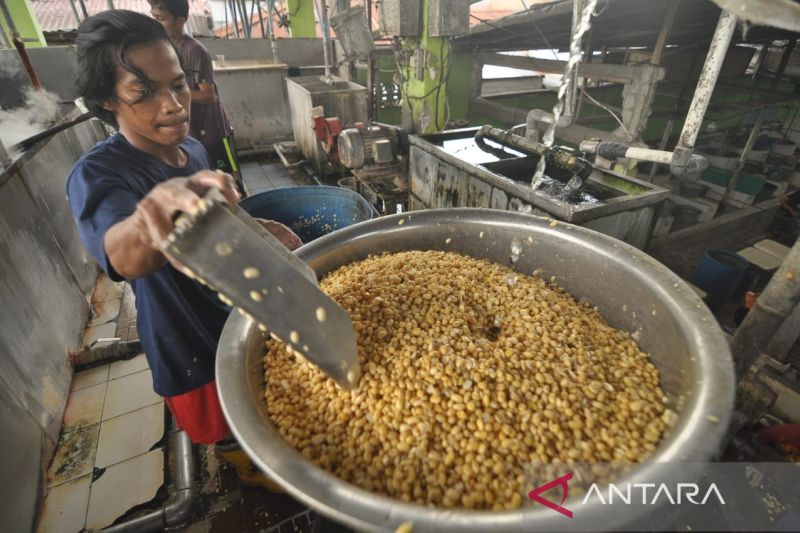 Petani Kedelai Di Sulteng Diminta Manfaatkan Lahan Tidur - SultengTerkini