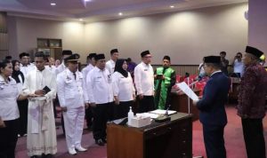 WhatsApp Image 2022-11-11 at 3.31.15 PM