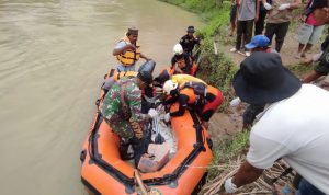 WhatsApp Image 2023-02-19 at 01.20.04