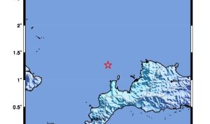 WhatsApp Image 2023-03-02 at 02.36.28