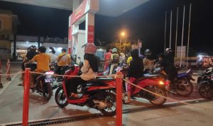 WhatsApp Image 2023-10-31 at 16.56.54