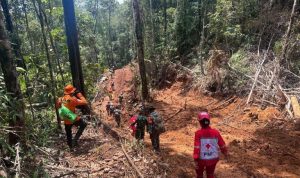 WhatsApp Image 2023-11-19 at 02.26.52