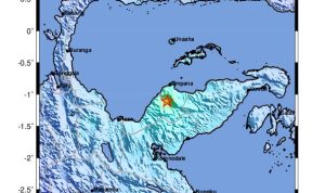 WhatsApp Image 2024-01-18 at 16.12.12