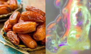 masya-allah-begini-tampilan-buah-kurma-di-bawah-mikroskop