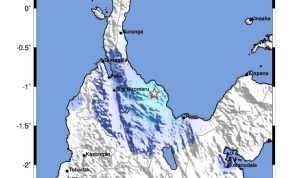 WhatsApp Image 2024-05-06 at 17.03.39