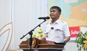 WhatsApp Image 2024-05-22 at 19.35.33