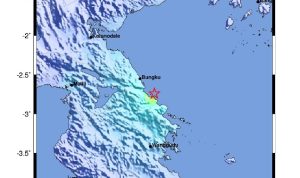 WhatsApp Image 2024-05-30 at 16.24.40