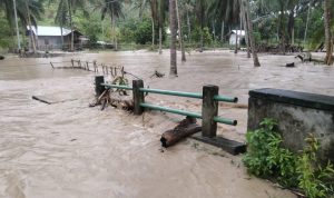 WhatsApp Image 2024-06-15 at 14.33.24