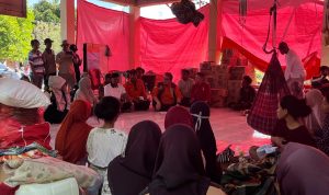 WhatsApp Image 2024-06-29 at 21.17.17