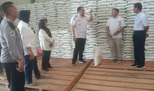 WhatsApp Image 2024-10-09 at 11.19.45