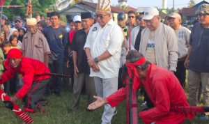 WhatsApp Image 2024-10-19 at 02.42.13