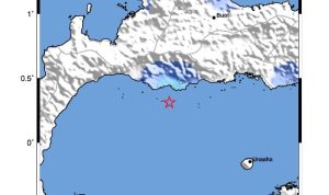 WhatsApp Image 2024-10-20 at 00.51.45