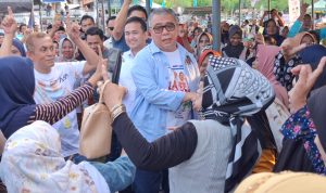 WhatsApp Image 2024-11-03 at 03.53.27