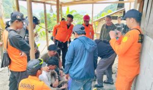 WhatsApp Image 2024-11-11 at 20.39.46