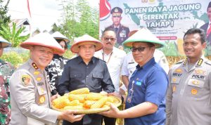 photo_6194886216311229000_y