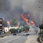 kebakaran-hutan-landa-israel-1746066721480_169