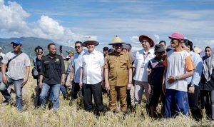 photo_6161412731559855620_y