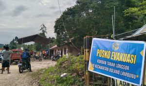 photo_6251176787837044917_y