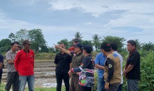 photo_6271361991666945467_y