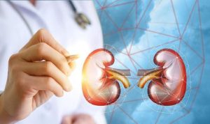 ilustrasi-ginjal-dok-ilustrasithinkstock_169