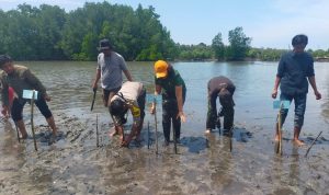 photo_6068635867393672706_y