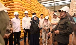 photo_6329828251890993489_y