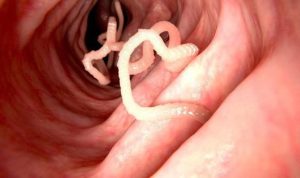 3eed6790-4f1a-4d78-9cb1-9349cdd1e582_169