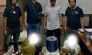 photo_6080399482169706047_y