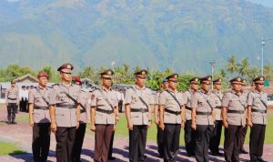 photo_6082560460604950211_y