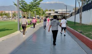 photo_6082651281983391421_y