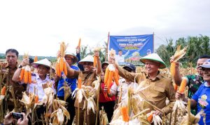 photo_6111732350925785641_y