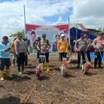 photo_6131845820211906851_y