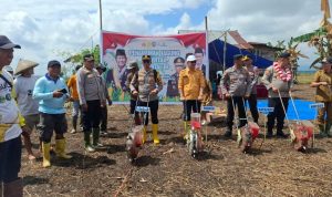 photo_6131845820211906851_y