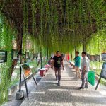 photo_6136408011783129430_y