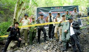 photo_6147562643146263132_y