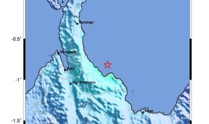 photo_6176920015924742791_y