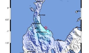 photo_6181423615552113746_y