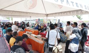 photo_6230930548226902278_y