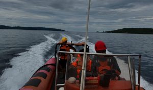 photo_6052942610948623135_y