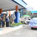 photo_6061892940541397779_y