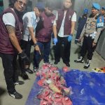 photo_6061892940541397998_y