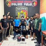 photo_6309644349439937420_y