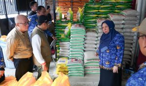 photo_6309644349439937464_y