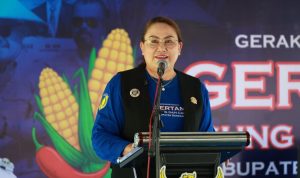 photo_6314496468483509652_y